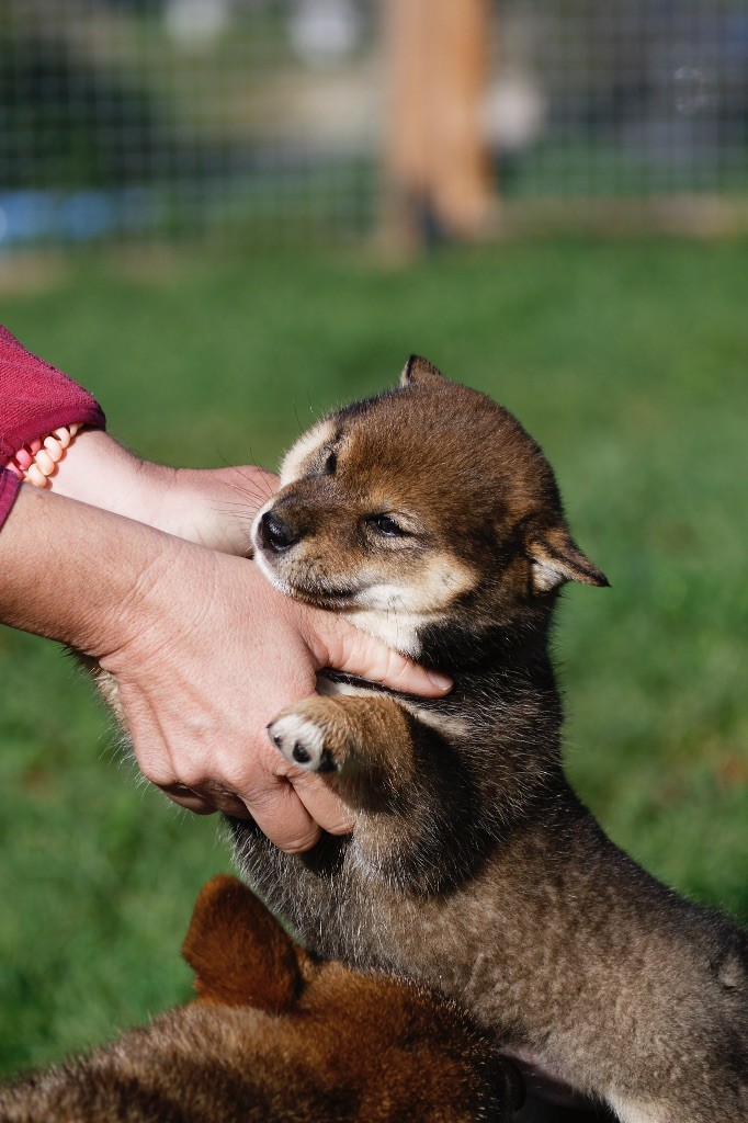 Octobre à l'élevage 
